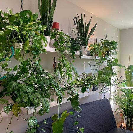 Ferienwohnung Urban Jungle Oasis in Queens! New York Exterior foto