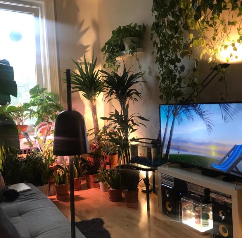 Ferienwohnung Urban Jungle Oasis in Queens! New York Exterior foto