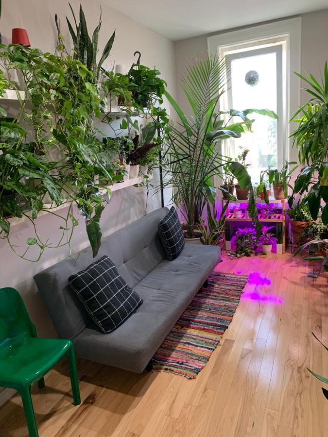 Ferienwohnung Urban Jungle Oasis in Queens! New York Exterior foto