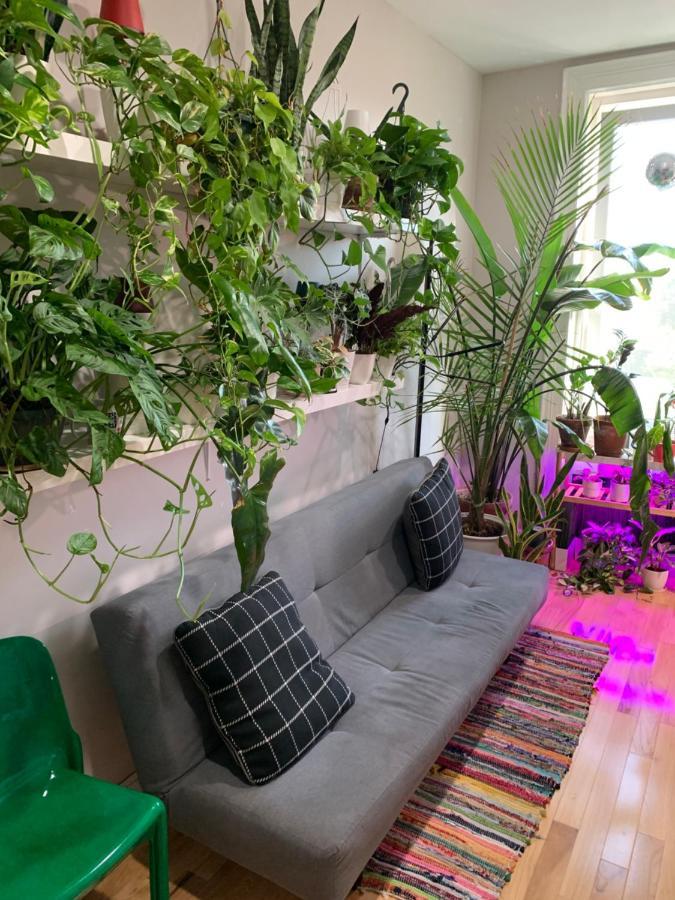 Ferienwohnung Urban Jungle Oasis in Queens! New York Exterior foto