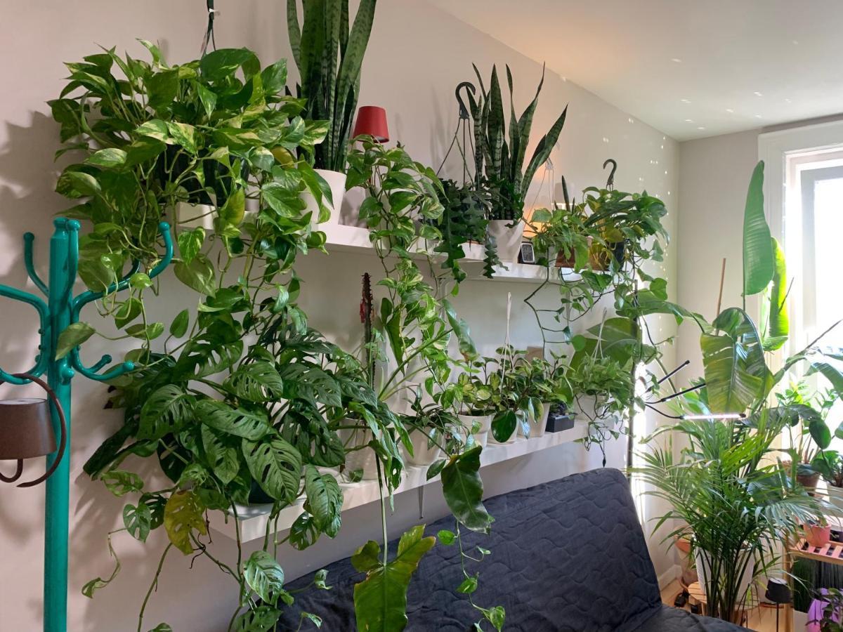Ferienwohnung Urban Jungle Oasis in Queens! New York Exterior foto