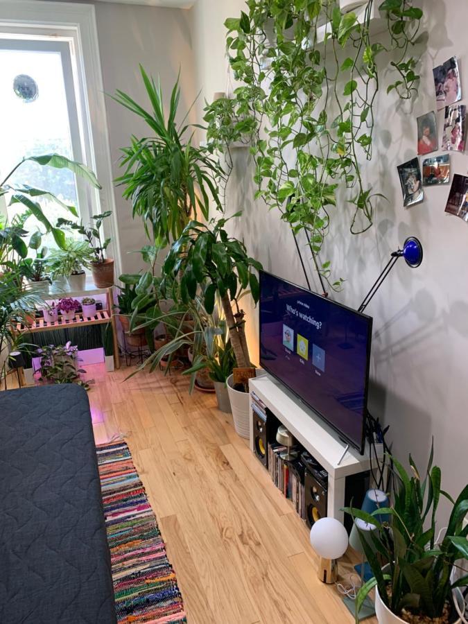 Ferienwohnung Urban Jungle Oasis in Queens! New York Exterior foto